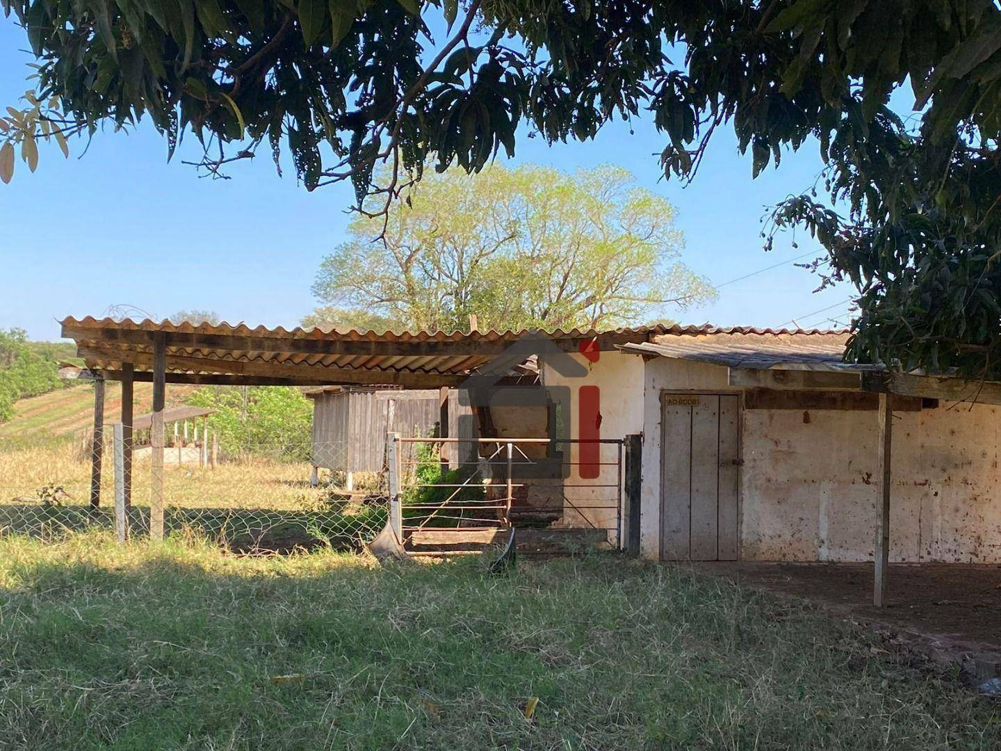 Sítio à venda com 3 quartos, 283140M2 - Foto 20