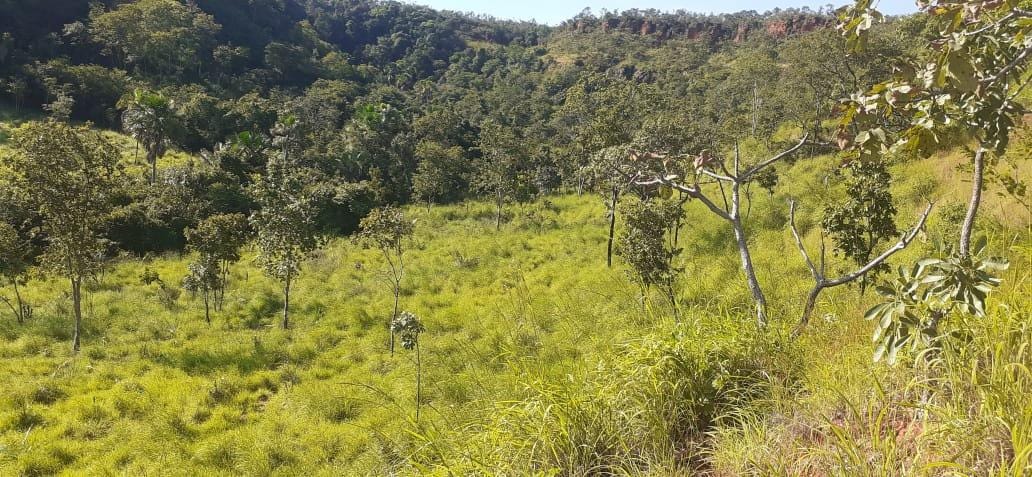 Fazenda à venda com 3 quartos, 10m² - Foto 25