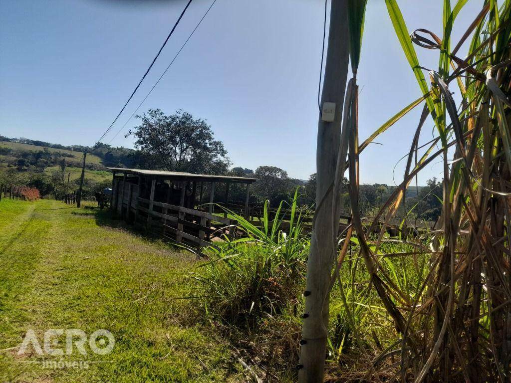 Chácara à venda com 4 quartos, 300m² - Foto 12