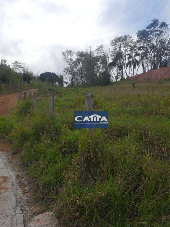 Terreno à venda, 2000m² - Foto 3