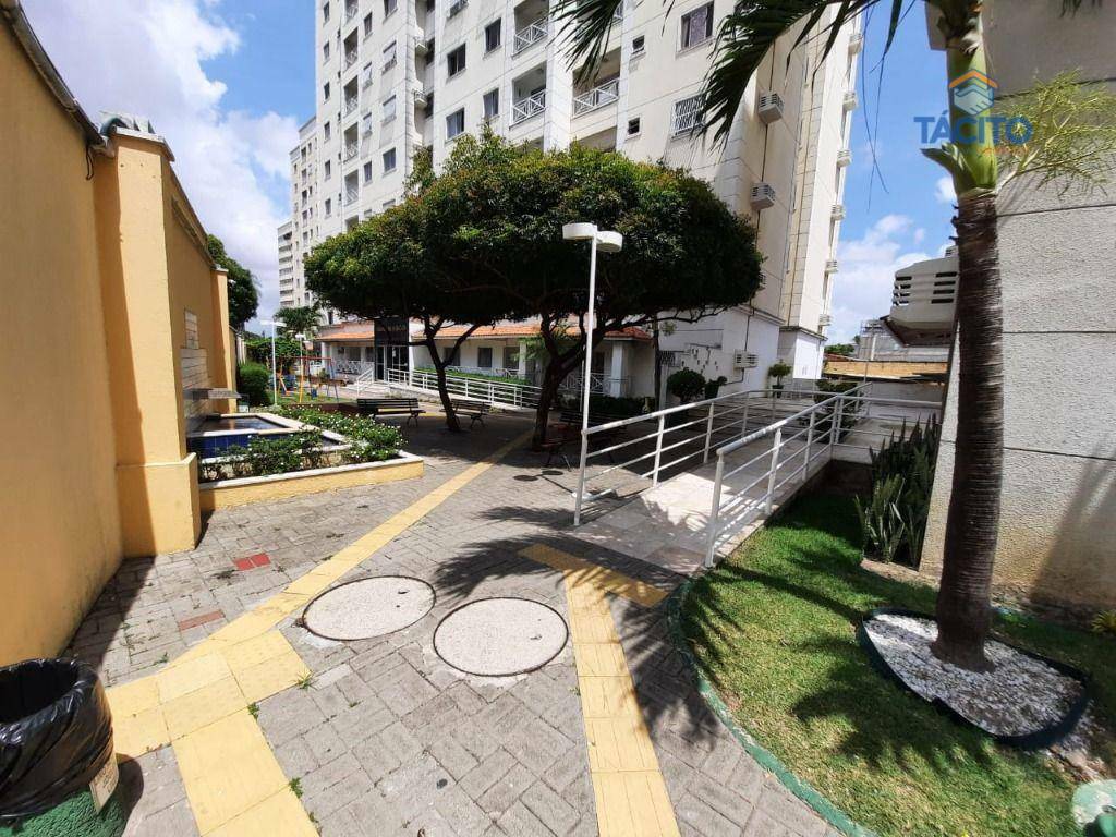 Apartamento à venda com 3 quartos, 65m² - Foto 12