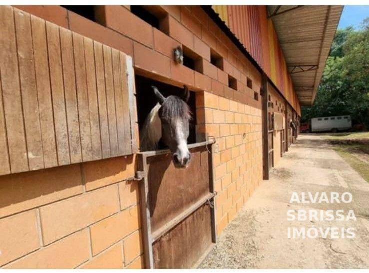 Haras e Área Rural Padrão à venda com 3 quartos, 798600M2 - Foto 7