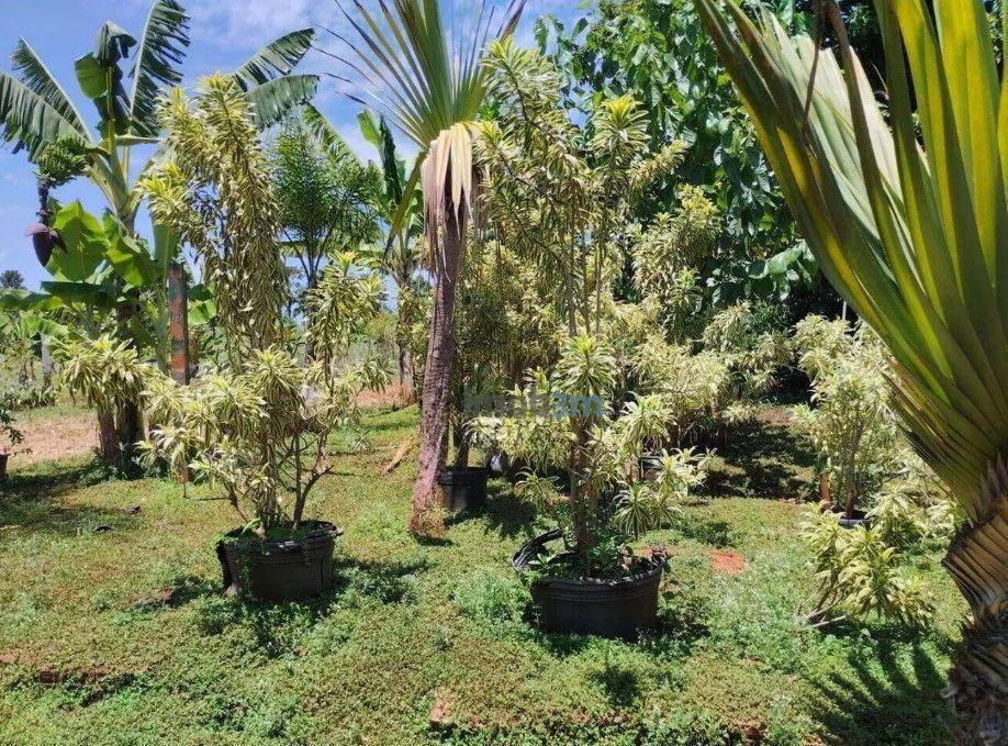 Chácara à venda com 3 quartos, 150m² - Foto 22