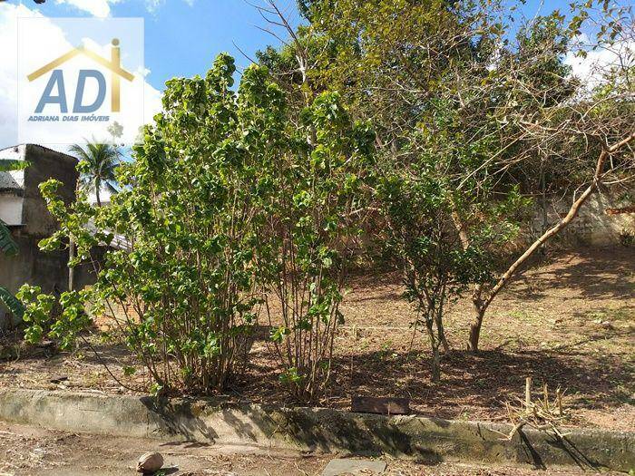 Casa à venda e aluguel com 2 quartos, 60m² - Foto 22