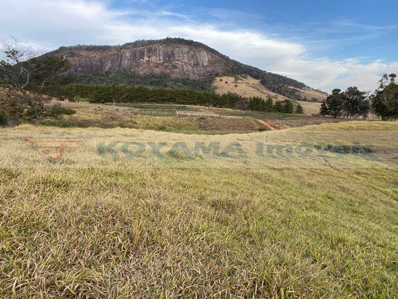 Terreno à venda, 290400M2 - Foto 3