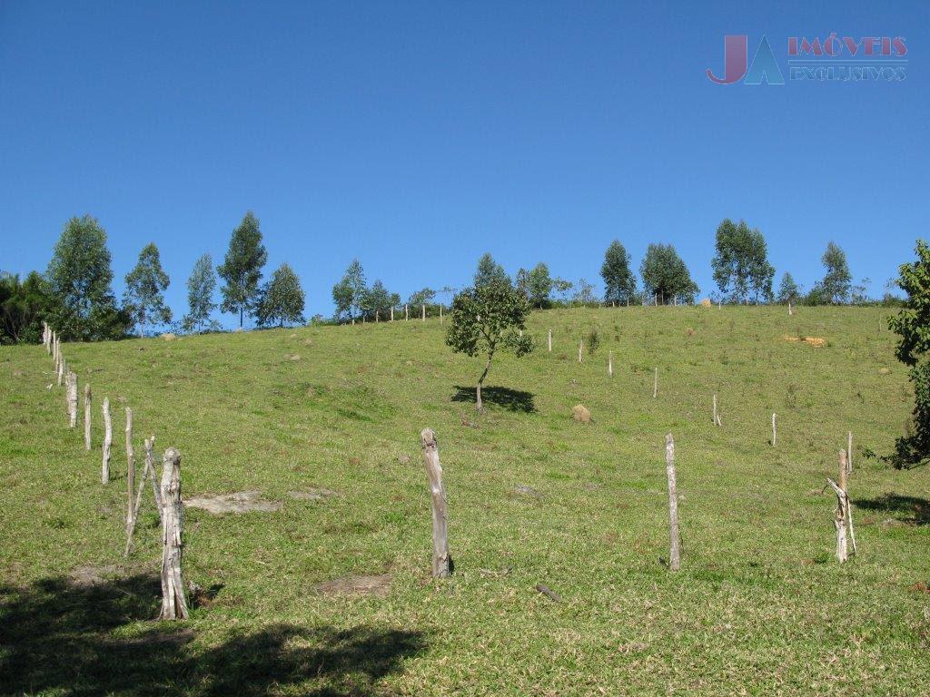 Fazenda-Sítio-Chácara, 90 hectares - Foto 2