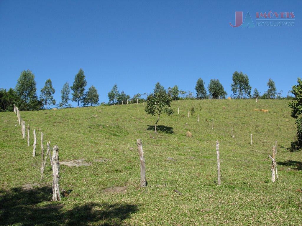 Fazenda à venda com 4 quartos, 700m² - Foto 3