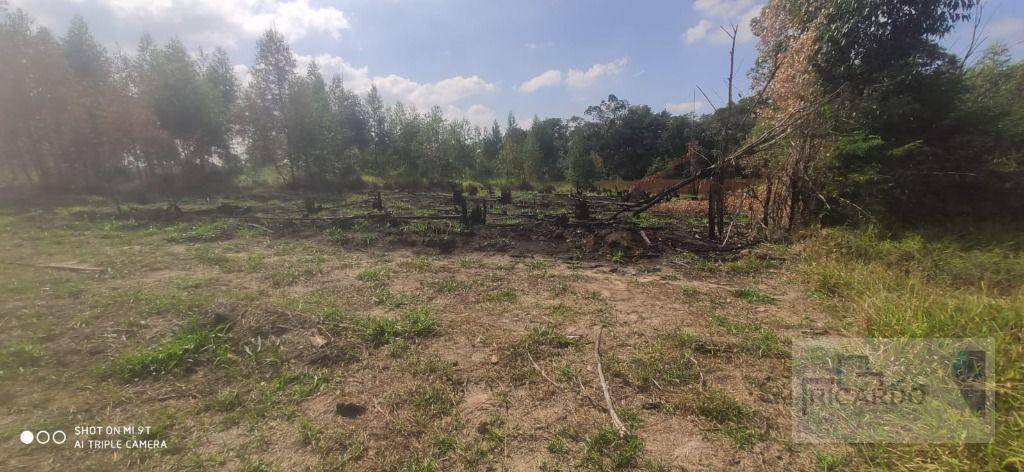 Loteamento e Condomínio, 1000 m² - Foto 4