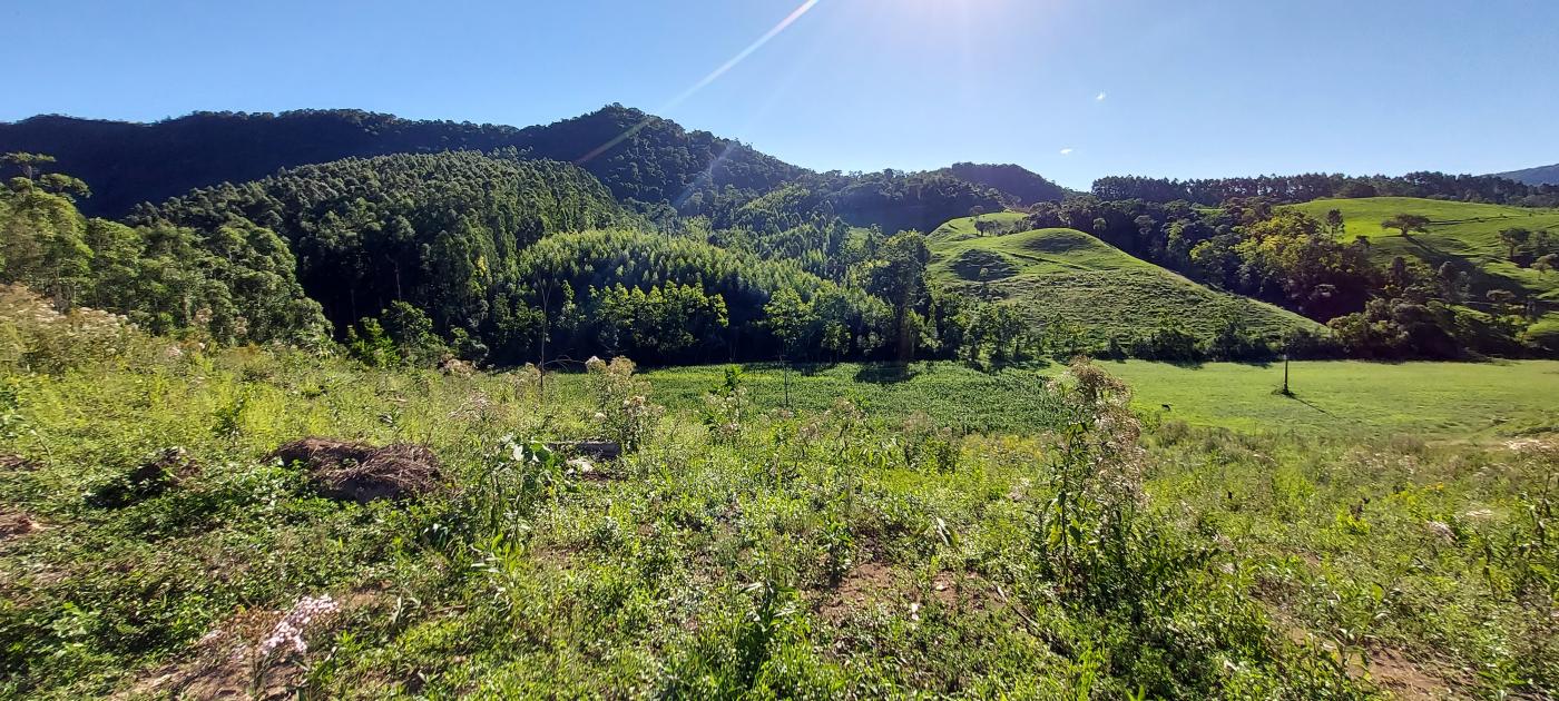 Fazenda à venda, 100000m² - Foto 10