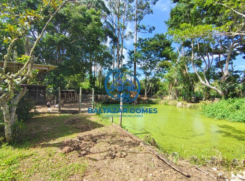 Fazenda à venda com 2 quartos, 2000m² - Foto 14