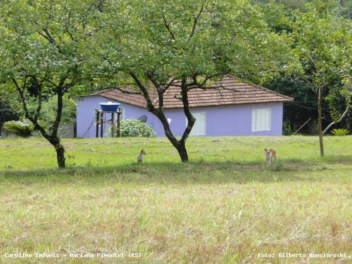 Chácara à venda com 3 quartos, 24172m² - Foto 7