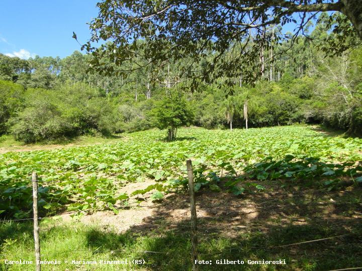 Fazenda à venda com 3 quartos, 160000m² - Foto 23