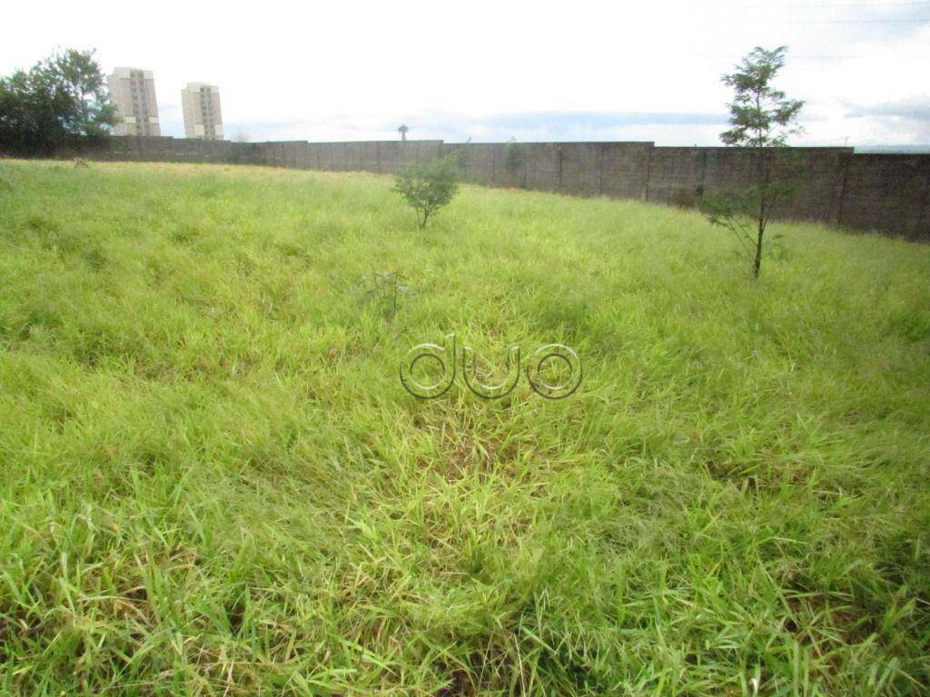 Terreno para alugar, 5000M2 - Foto 4