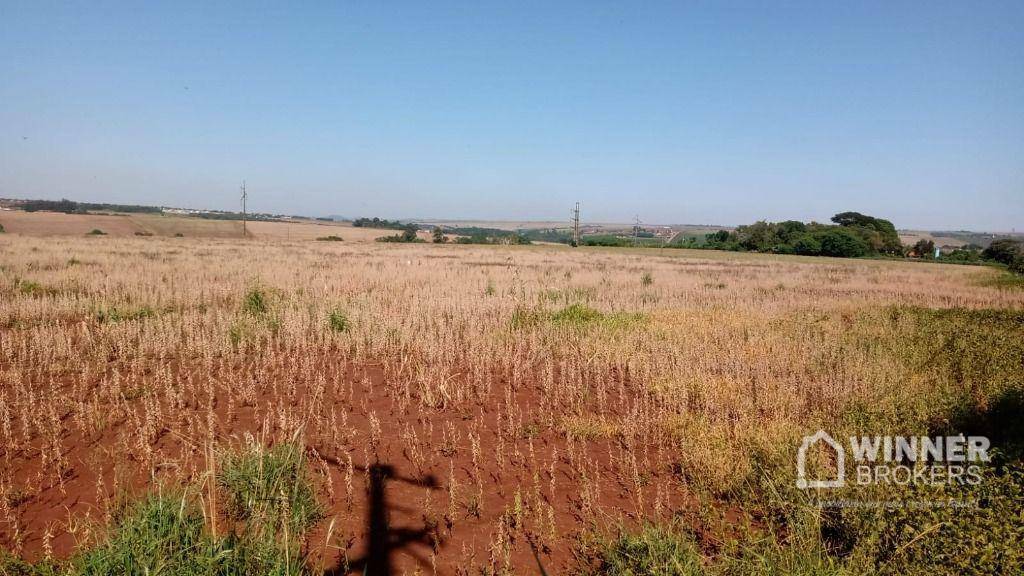 Terreno à venda, 145200M2 - Foto 4