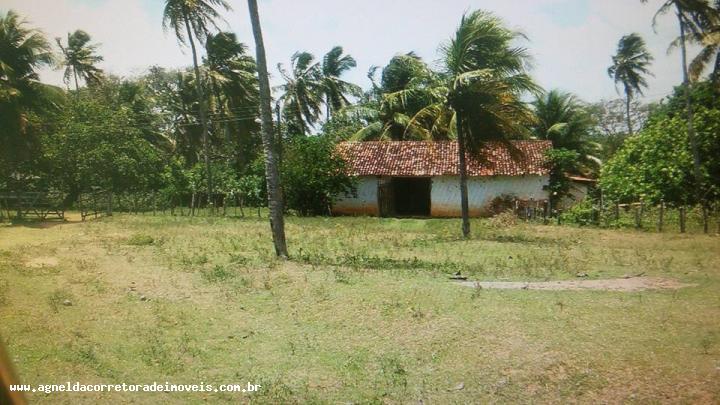 Fazenda à venda com 3 quartos, 170m² - Foto 7