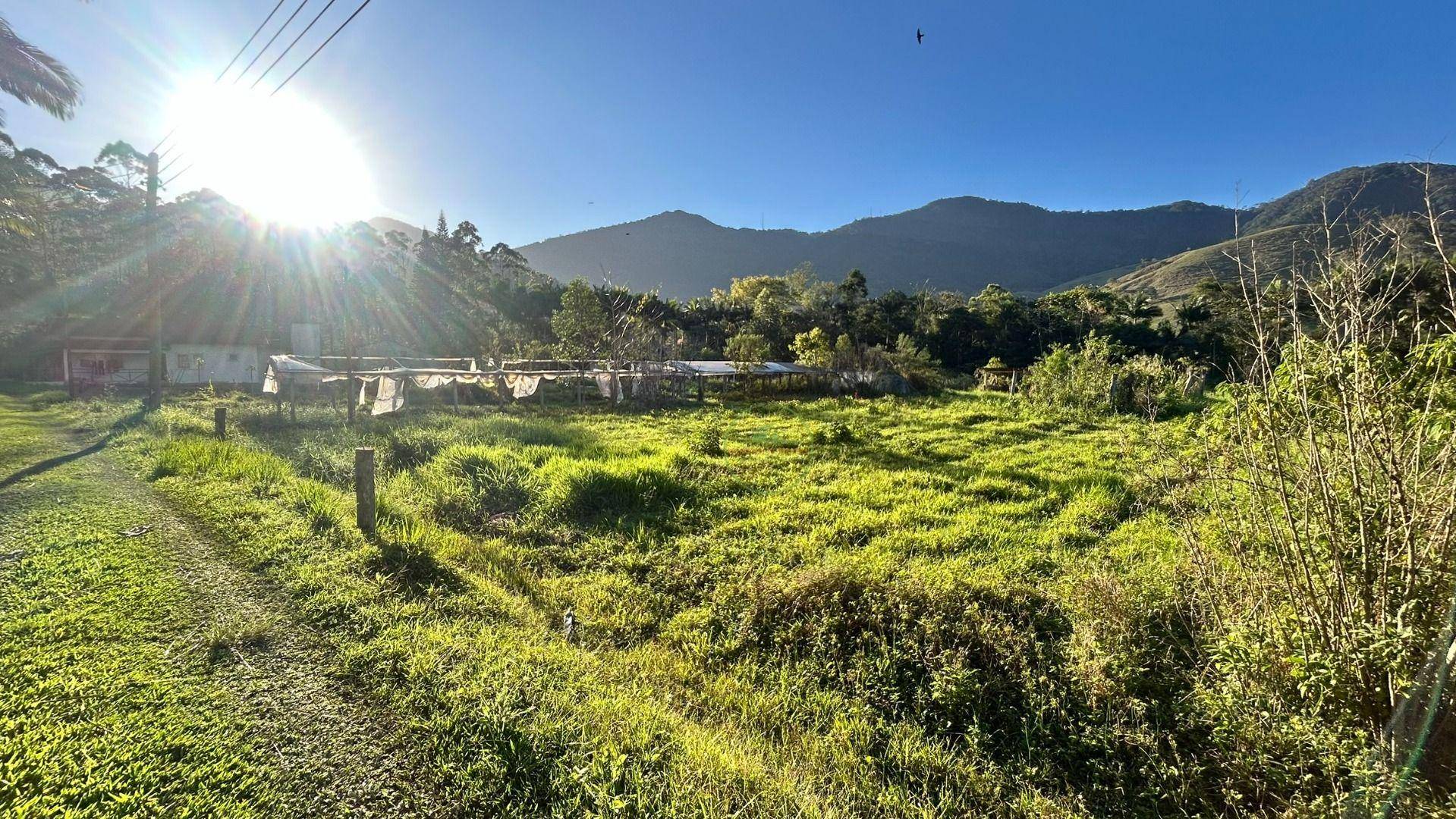 Sítio, 19 hectares - Foto 9