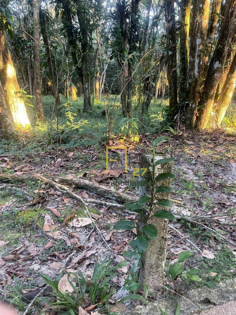 Loteamento e Condomínio à venda, 1300M2 - Foto 6