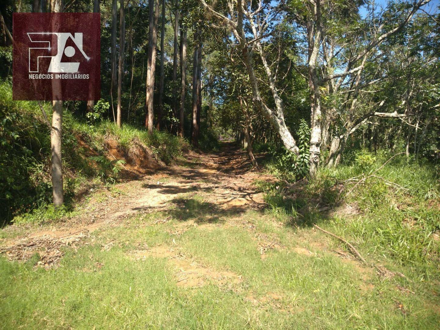 Fazenda à venda com 4 quartos, 1452000M2 - Foto 46