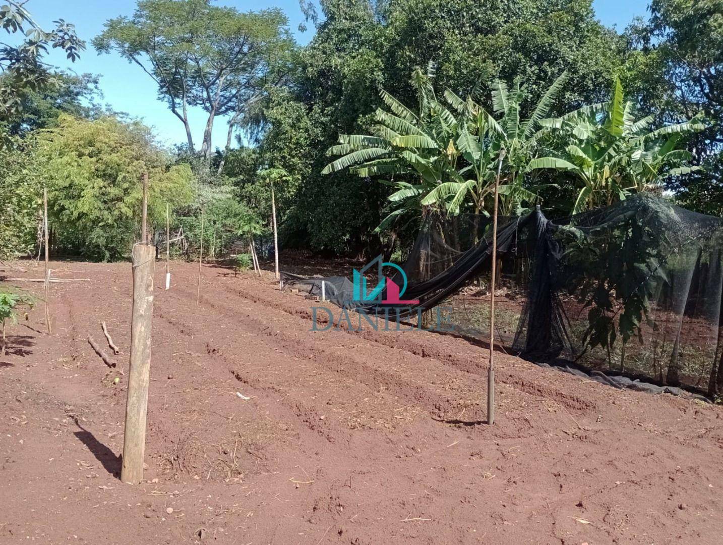 Chácara à venda com 3 quartos, 5000M2 - Foto 28