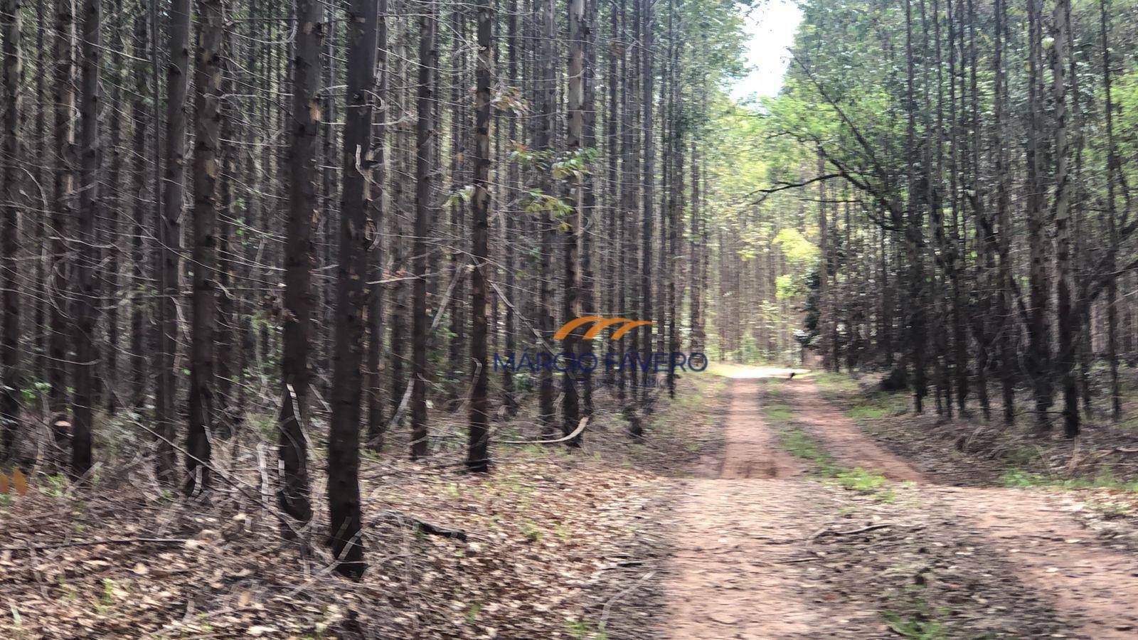 Fazenda à venda, 5953200M2 - Foto 2