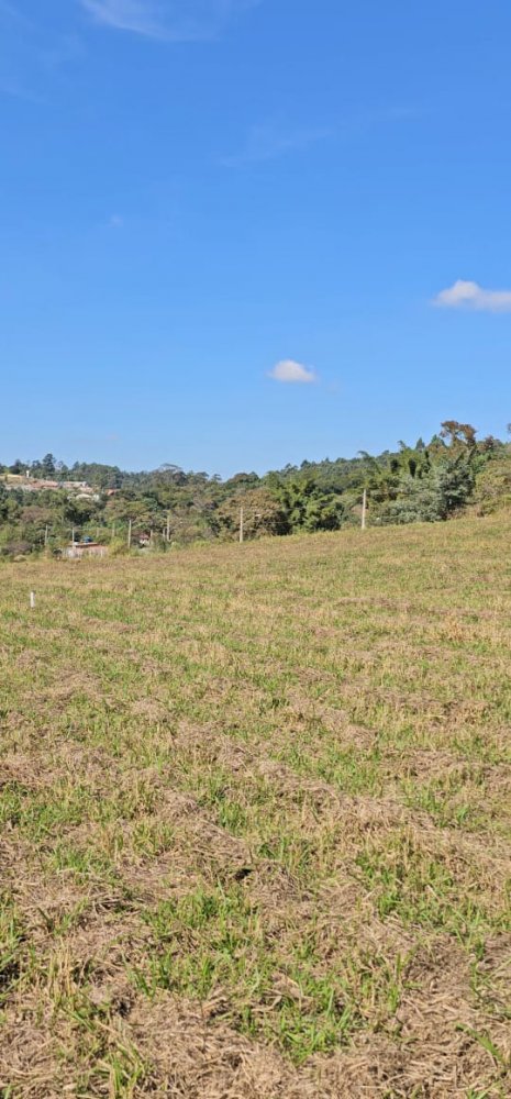 Terreno à venda, 1000m² - Foto 9