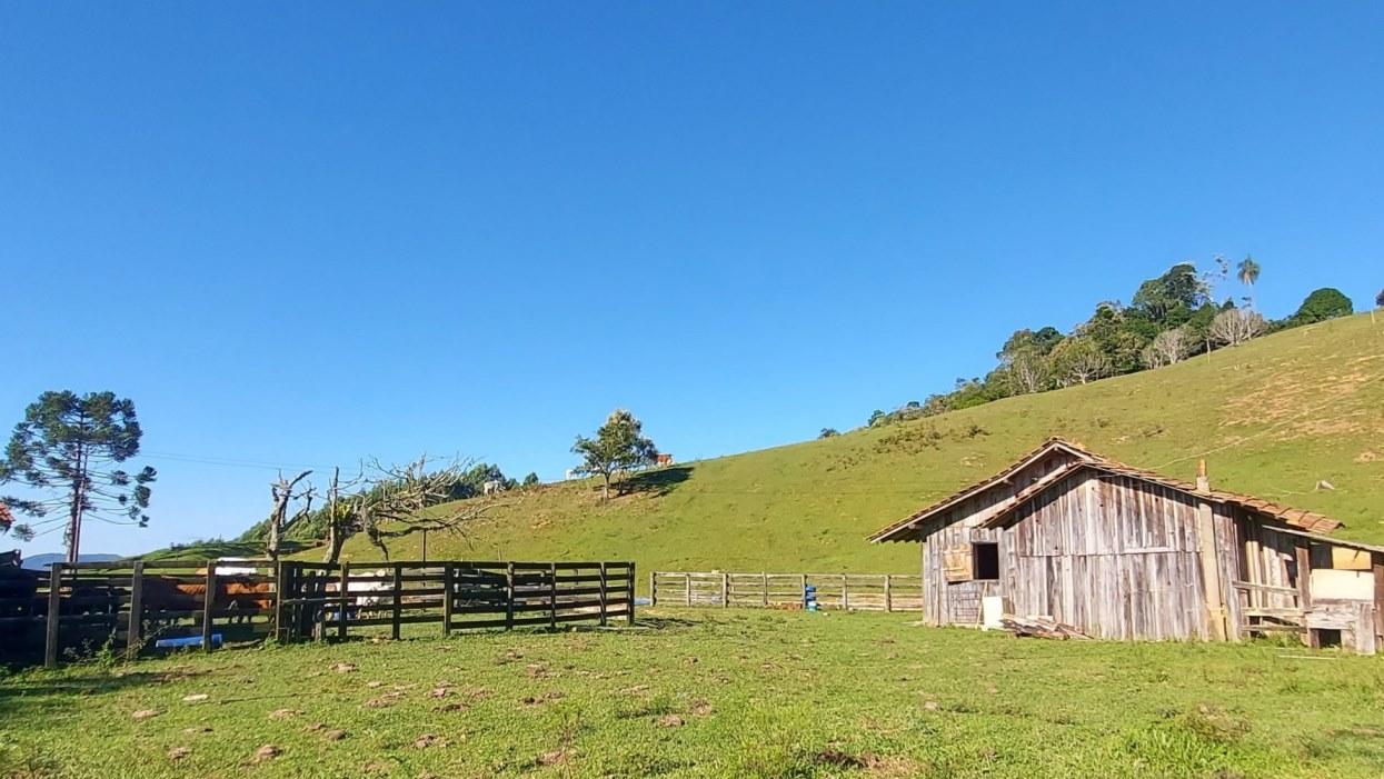 Fazenda à venda com 2 quartos, 925500m² - Foto 12