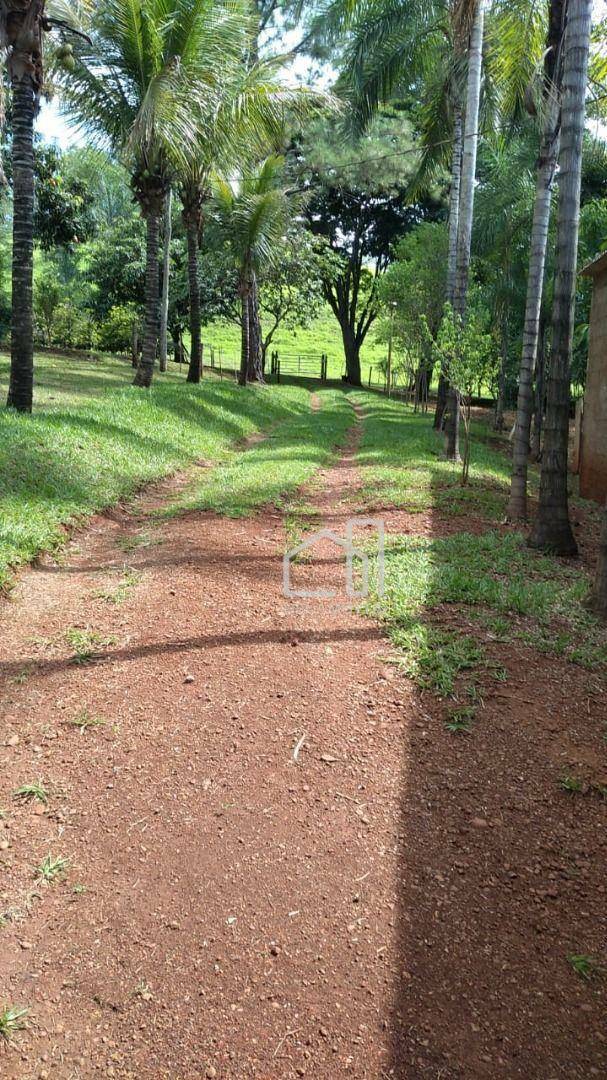 Fazenda à venda com 3 quartos, 250000M2 - Foto 20