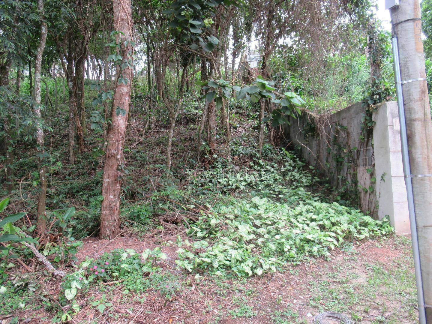 Loteamento e Condomínio à venda, 1004M2 - Foto 4