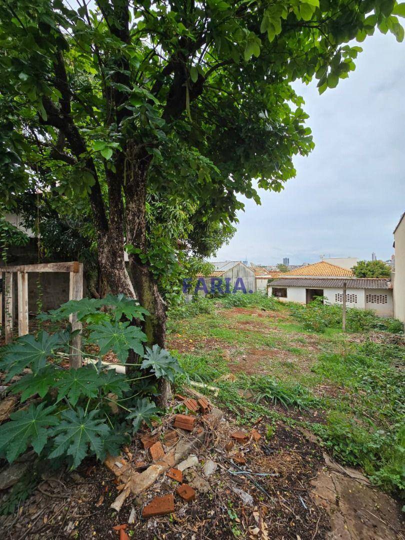 Terreno, 300 m² - Foto 1
