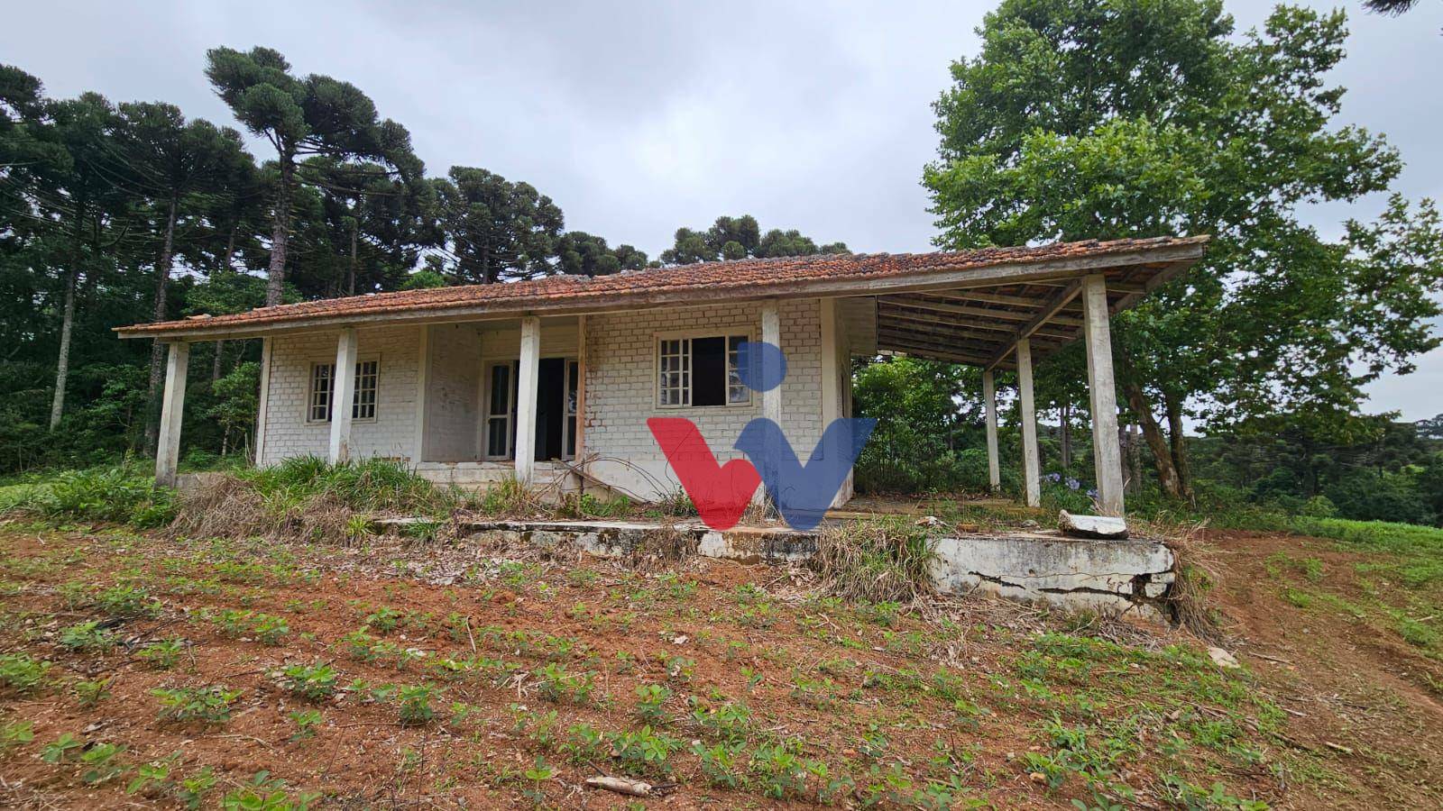 Fazenda à venda com 3 quartos, 1694000M2 - Foto 14