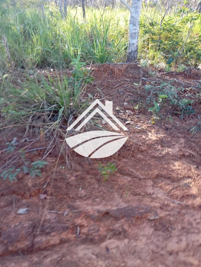 Fazenda à venda, 1m² - Foto 2