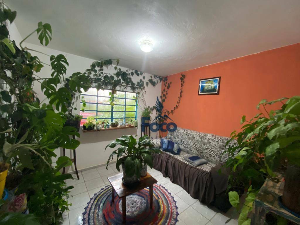 Chácara, 4 quartos, 6000 m² - Foto 3