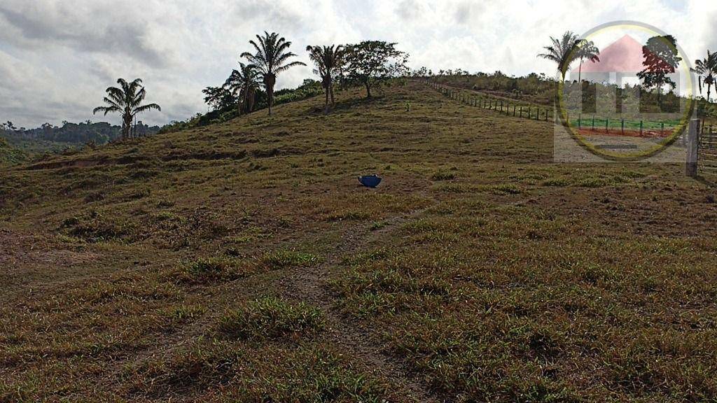 Fazenda à venda com 2 quartos, 2032800M2 - Foto 18