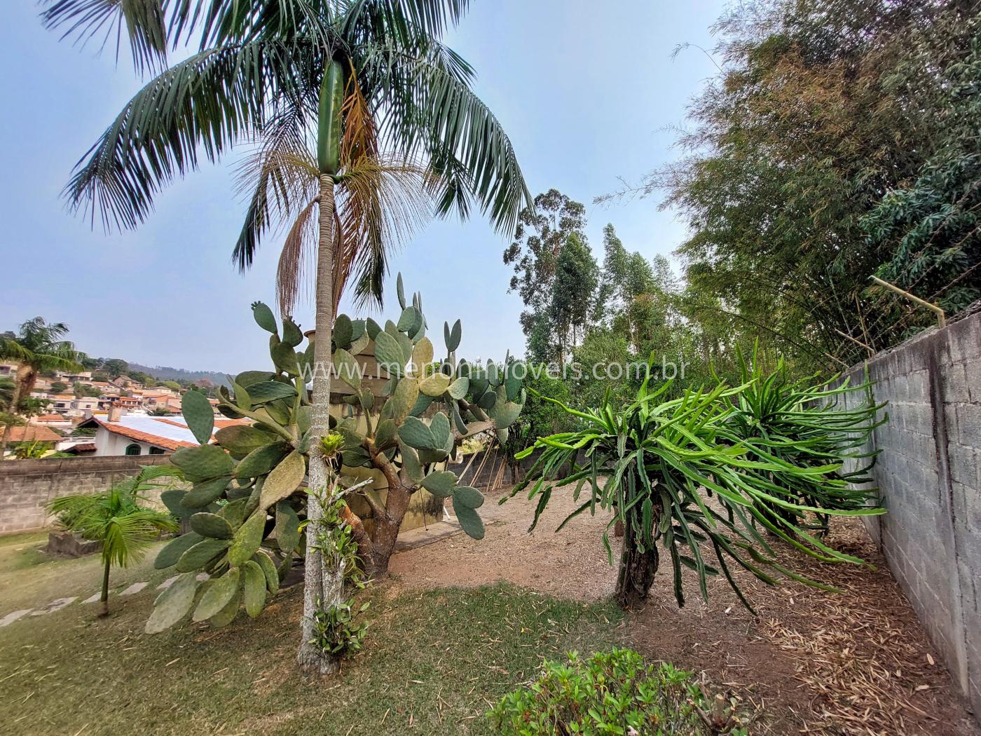 Chácara, 2 quartos, 1350 m² - Foto 14