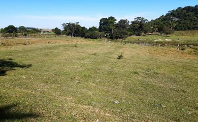 Fazenda à venda com 2 quartos, 270000m² - Foto 18