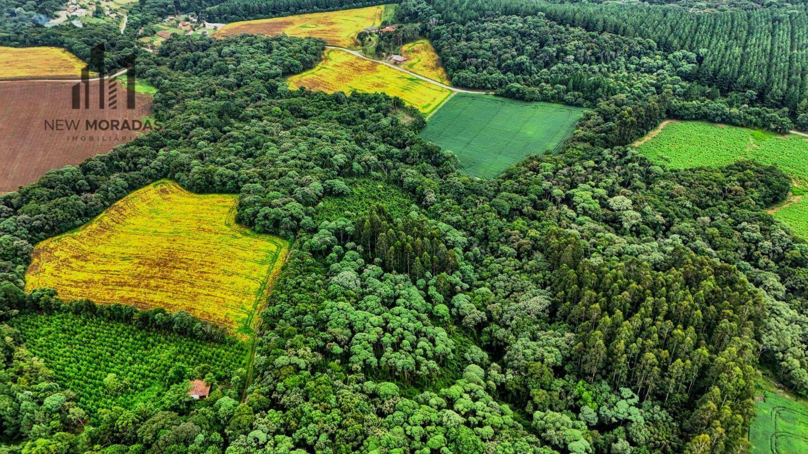Terreno à venda, 88M2 - Foto 5