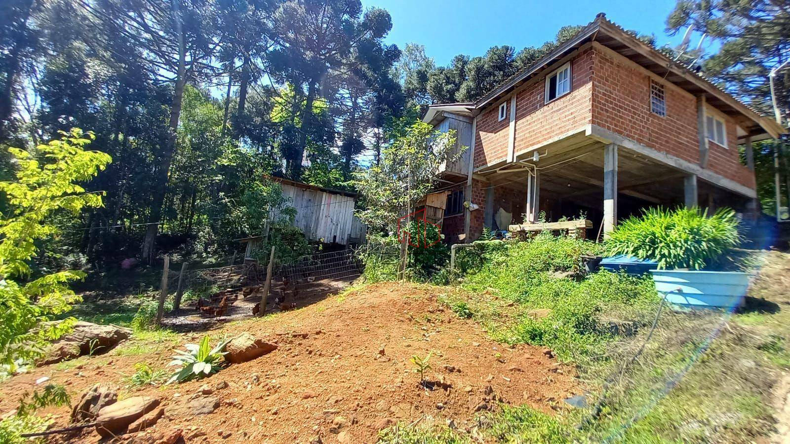 Sítio à venda com 9 quartos, 40000M2 - Foto 3