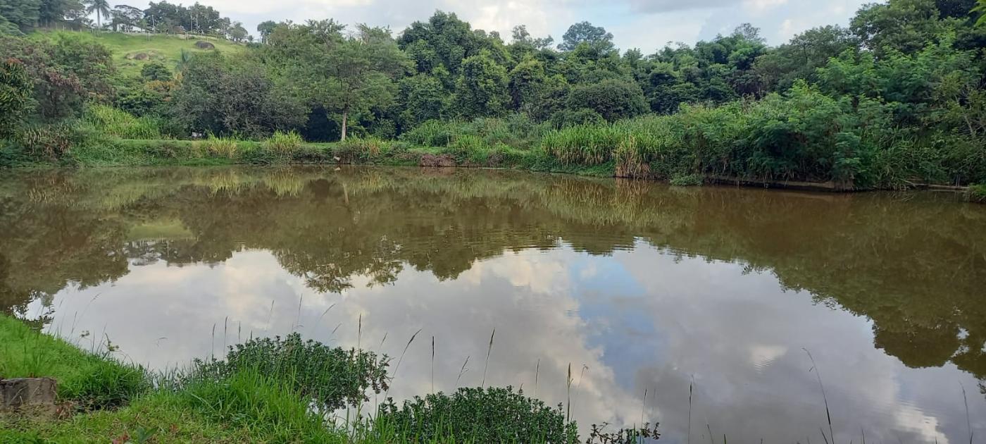 Casa de Condomínio à venda com 4 quartos, 300m² - Foto 55