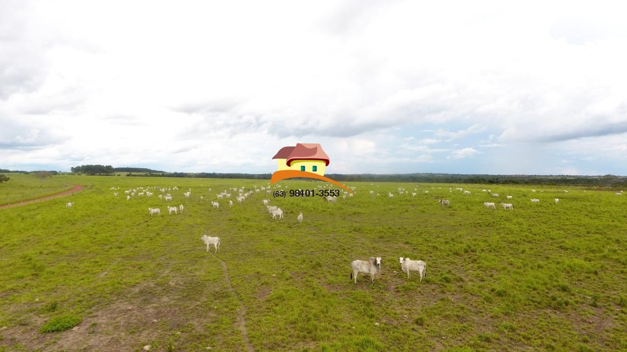 Fazenda à venda, 4060m² - Foto 23