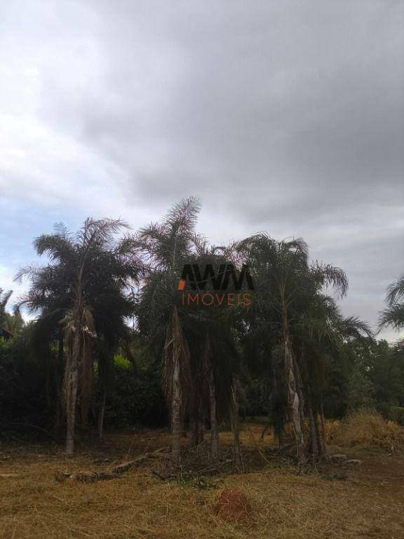Chácara à venda, 2440M2 - Foto 7