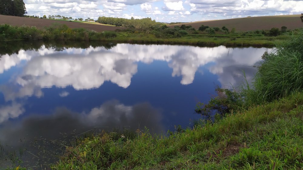 Fazenda à venda com 1 quarto, 2m² - Foto 2