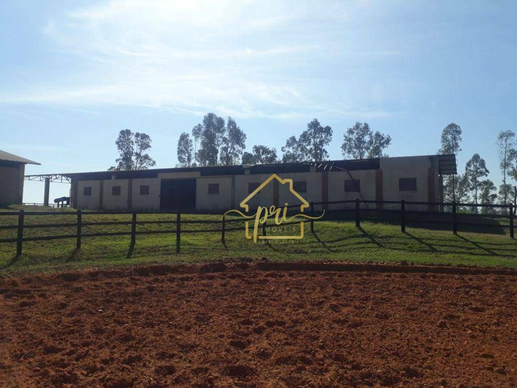 Haras e Área Rural Padrão à venda com 4 quartos, 1000m² - Foto 17