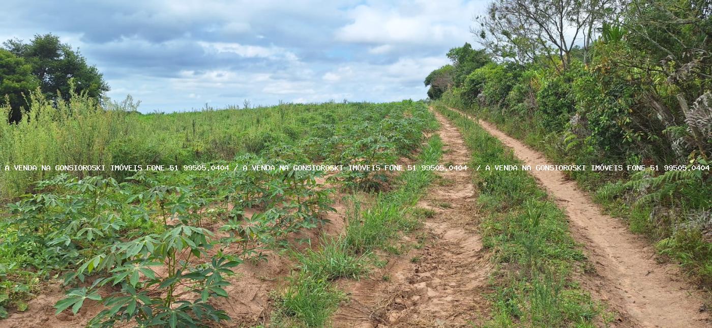 Loteamento e Condomínio à venda, 125000m² - Foto 2