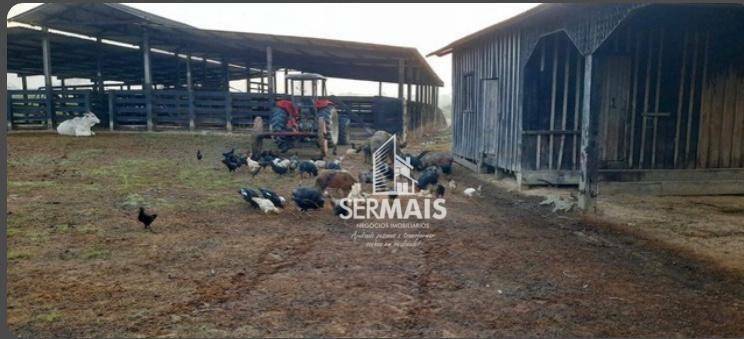 Fazenda-Sítio-Chácara, 5000 hectares - Foto 4