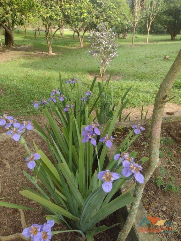 Chácara à venda com 4 quartos, 500m² - Foto 56