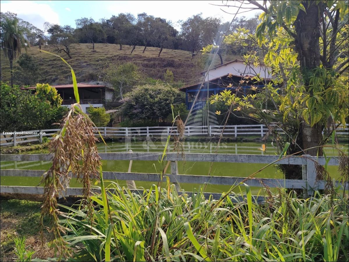 Fazenda à venda com 6 quartos, 53000m² - Foto 13