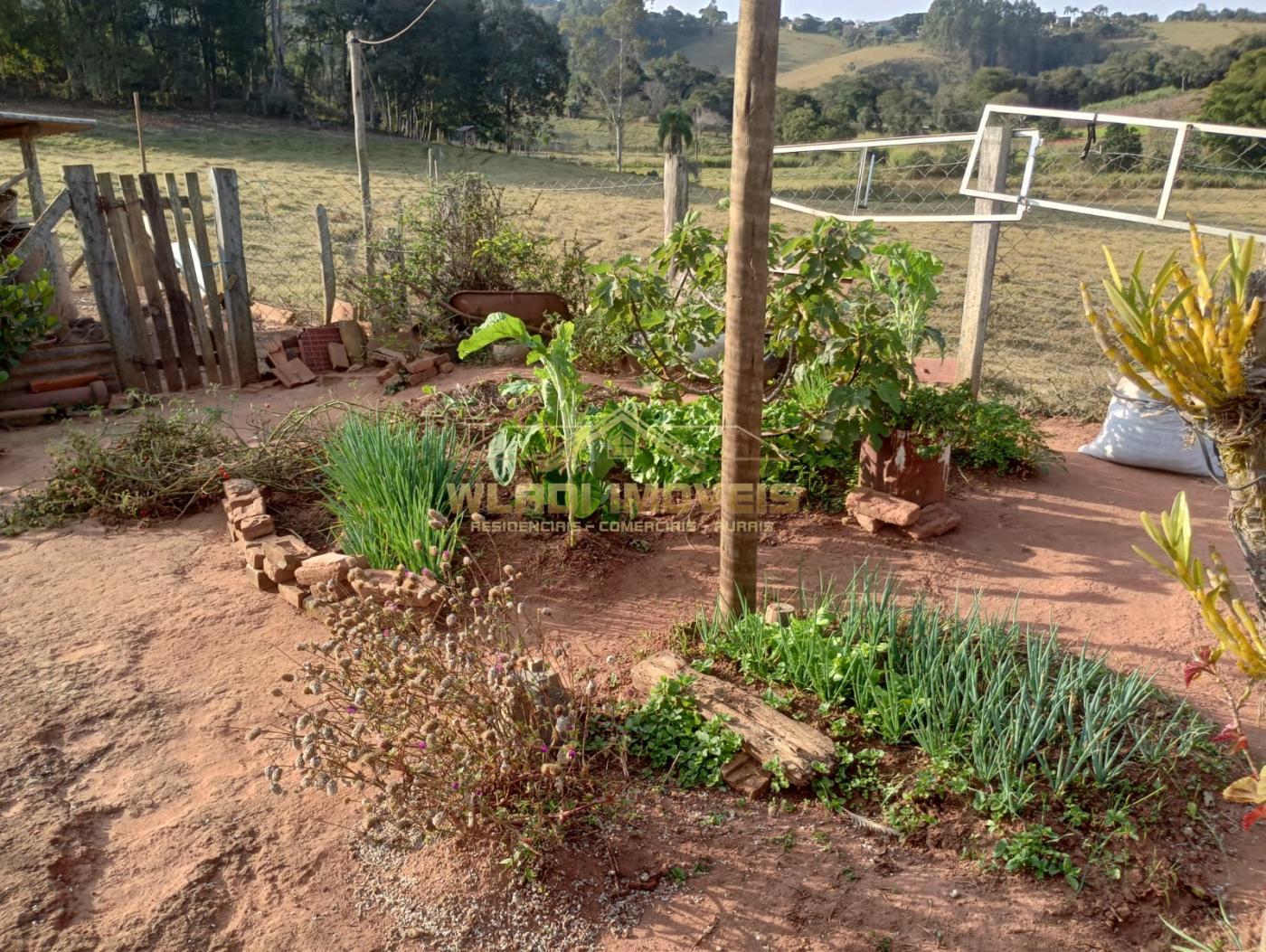 Fazenda à venda com 2 quartos, 4m² - Foto 16