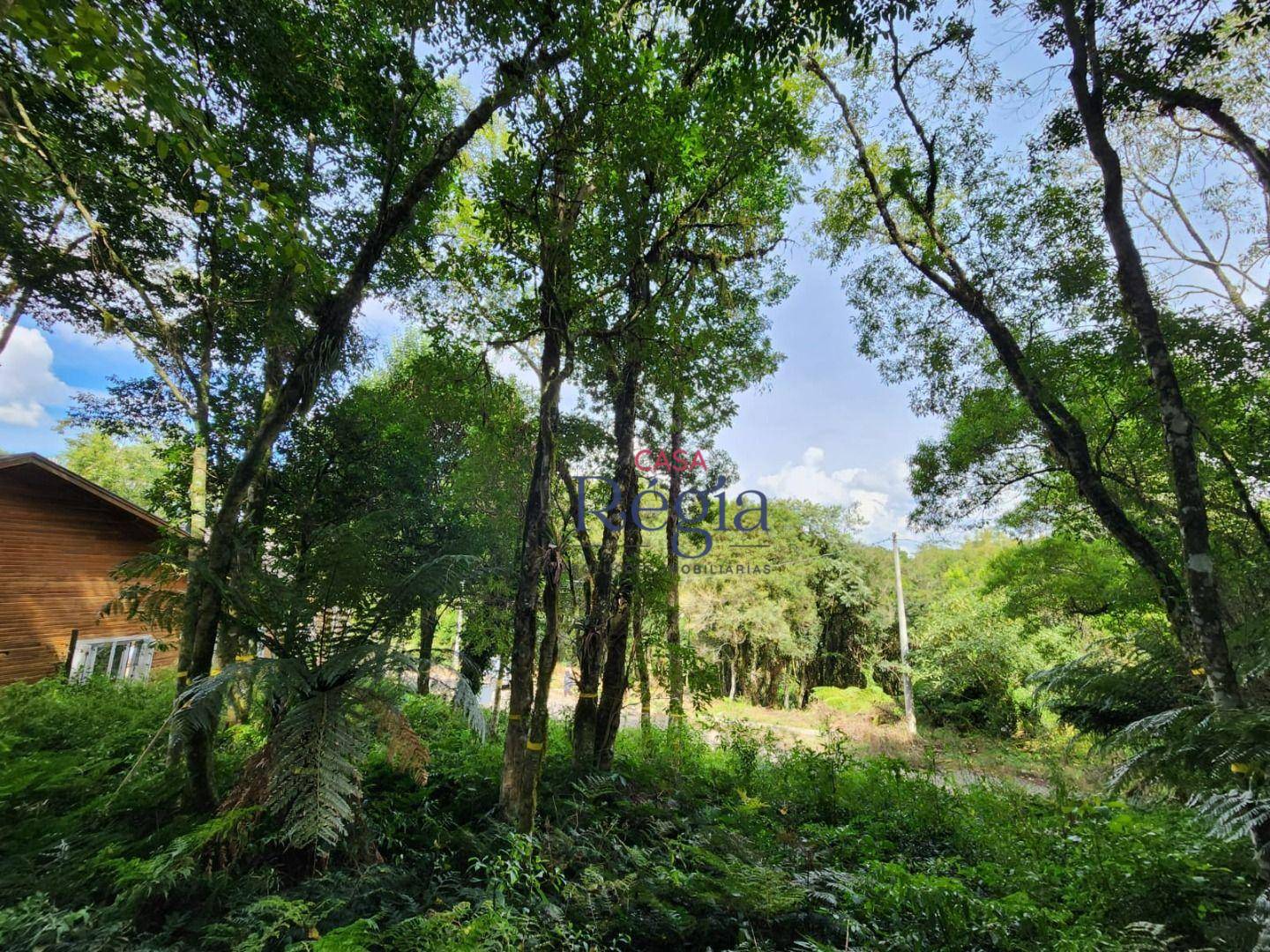 Terreno, 681 m² - Foto 4