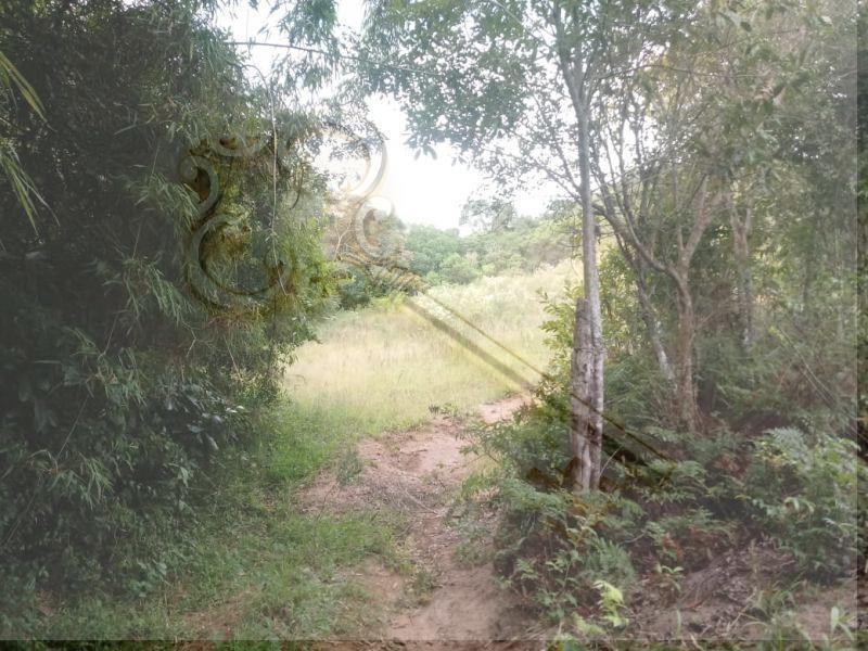 Loteamento e Condomínio, 13 hectares - Foto 2