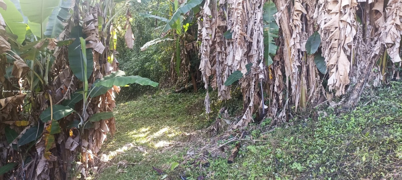 Terreno, 2 hectares - Foto 8